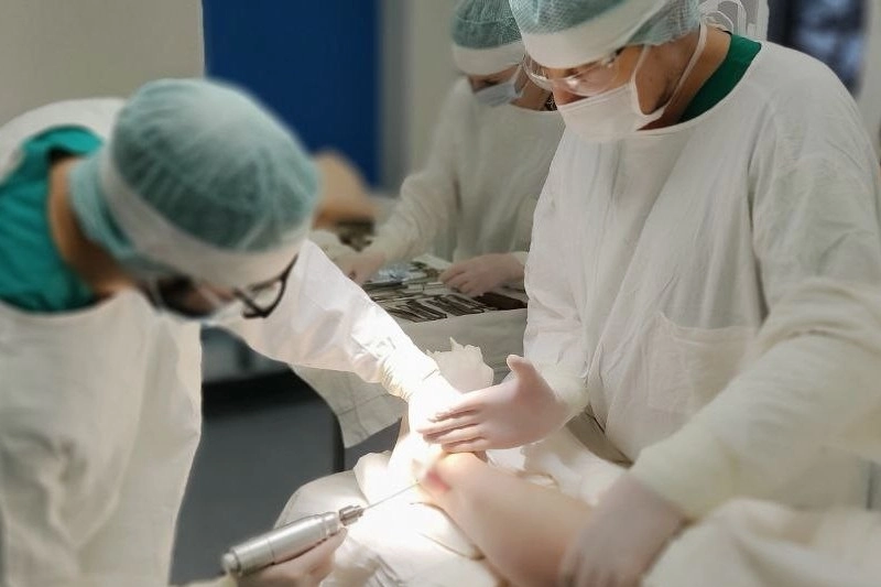 photo_5_2023-02-09_17-43-30.jpg photo_5_2023-02-09_17-43-30.jpg